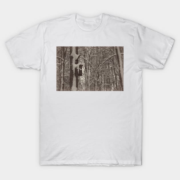 Bird feeder on a tree in winter T-Shirt by EvgeniiV